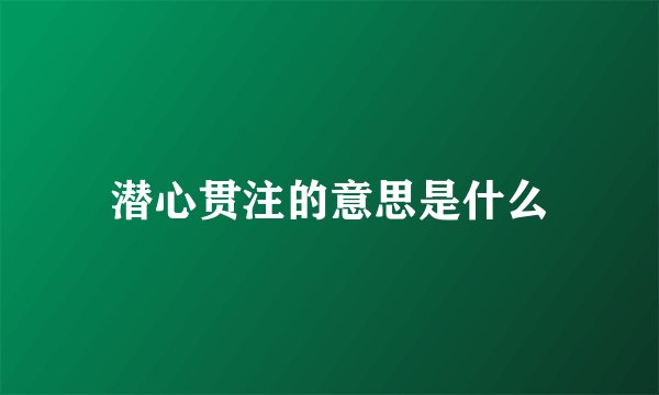 潜心贯注的意思是什么