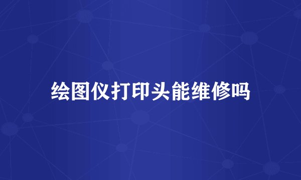 绘图仪打印头能维修吗