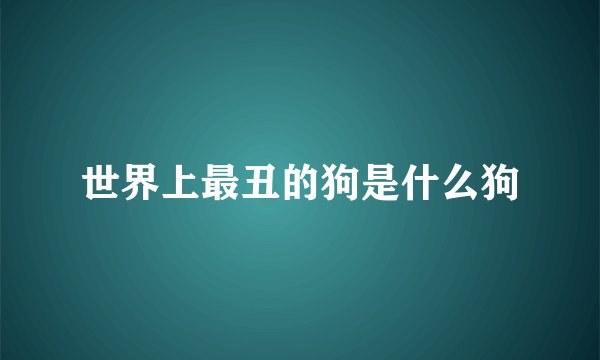 世界上最丑的狗是什么狗