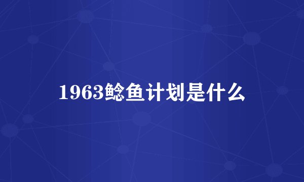 1963鲶鱼计划是什么