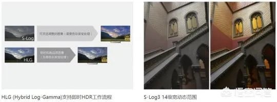 A7III和A9、A7RIII之间有什么差别?