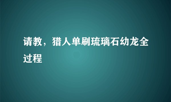 请教，猎人单刷琉璃石幼龙全过程