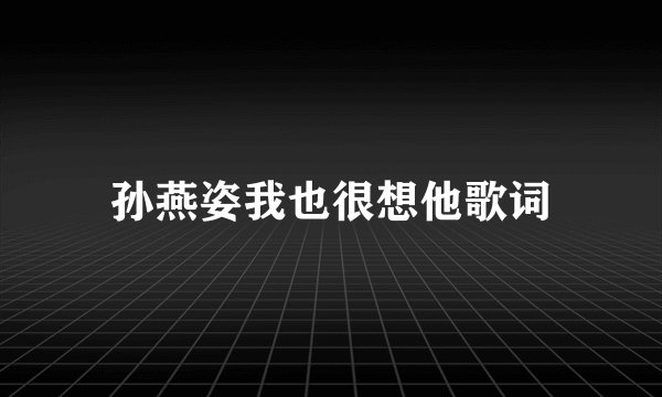 孙燕姿我也很想他歌词