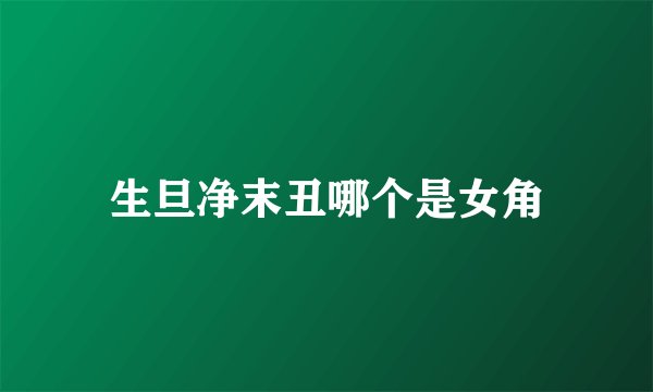 生旦净末丑哪个是女角