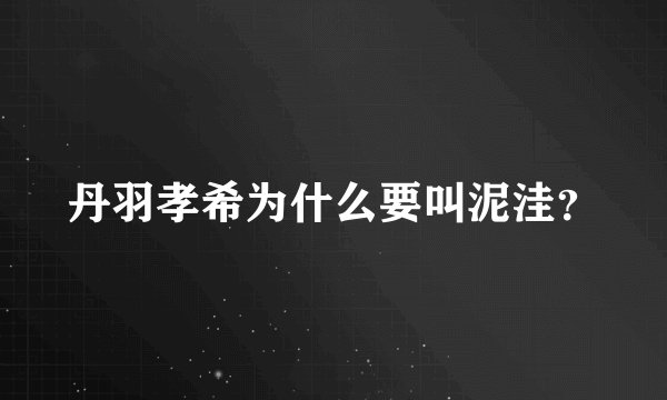 丹羽孝希为什么要叫泥洼？