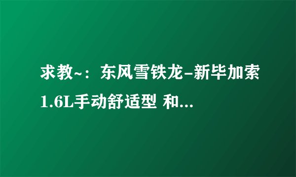 求教~:东风雪铁龙-新毕加索1.6L手动舒适型 和新东风标致307 1.6手动舒适钛金/象牙内饰版 比较