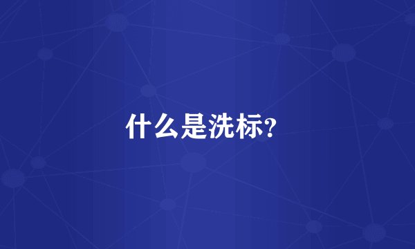 什么是洗标？