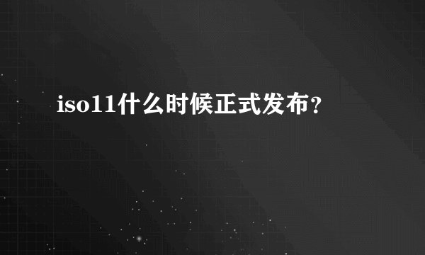 iso11什么时候正式发布？