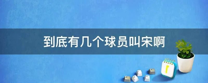 到底有几个球员叫宋啊