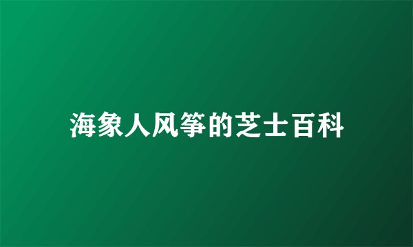 海象人风筝的芝士百科