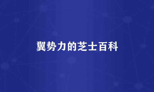 翼势力的芝士百科