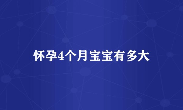 怀孕4个月宝宝有多大
