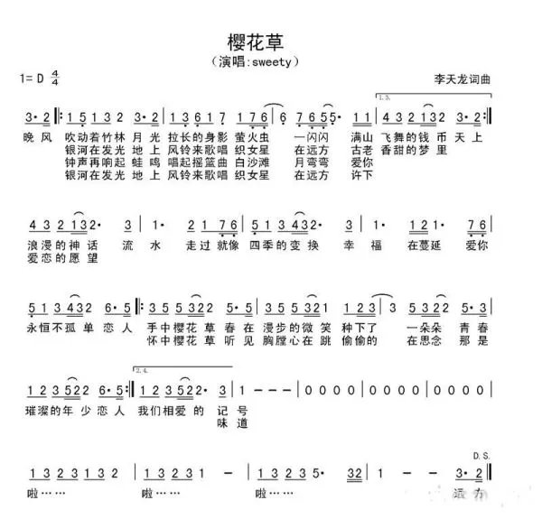 樱花草的简谱