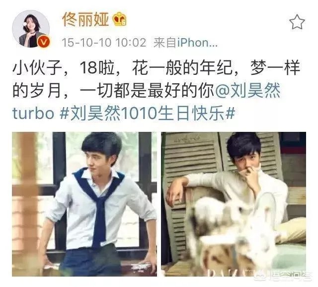 为什么说佟丽娅才是刘昊然的伯乐呢?