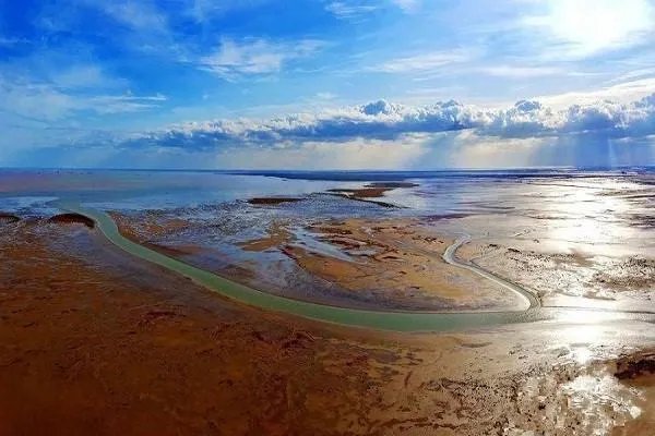 湿地为什么称为地球之肾