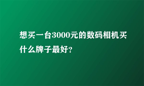 想买一台3000元的数码相机买什么牌子最好？