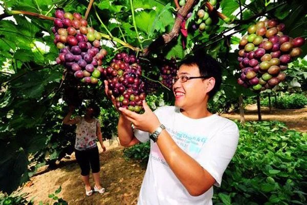 附近农家乐哪个好玩