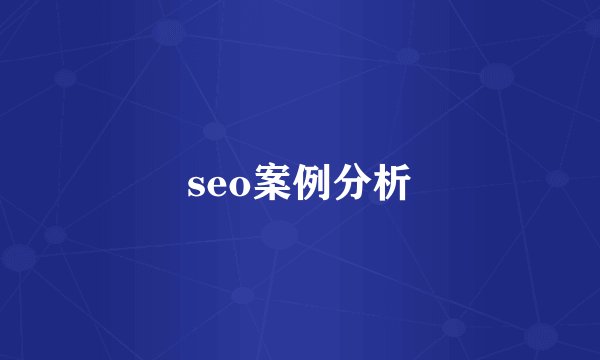 seo案例分析
