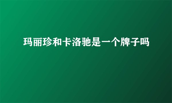 玛丽珍和卡洛驰是一个牌子吗