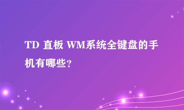 TD 直板 WM系统全键盘的手机有哪些?