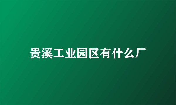 贵溪工业园区有什么厂