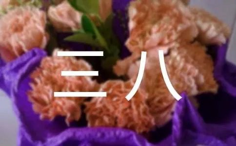三八活动方案