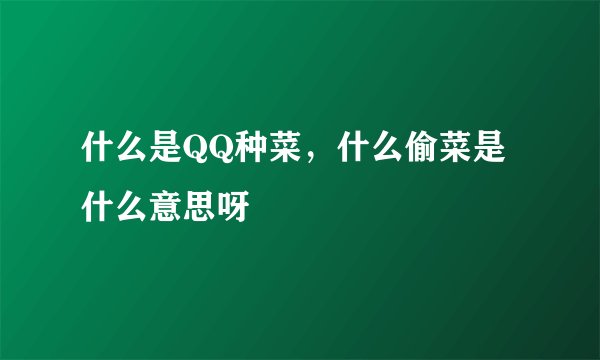 什么是QQ种菜，什么偷菜是什么意思呀