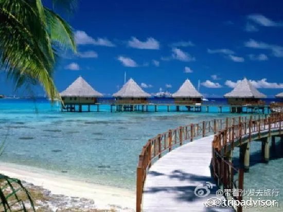 海口热带海洋世界怎么样?