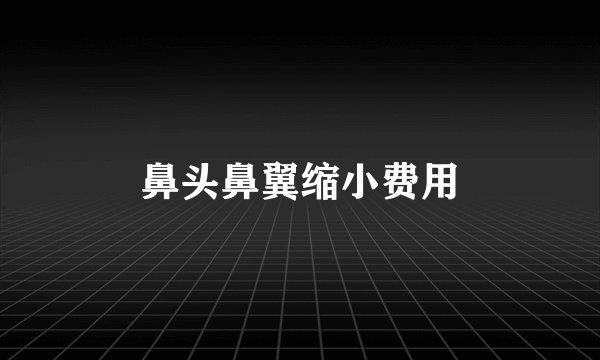 鼻头鼻翼缩小费用