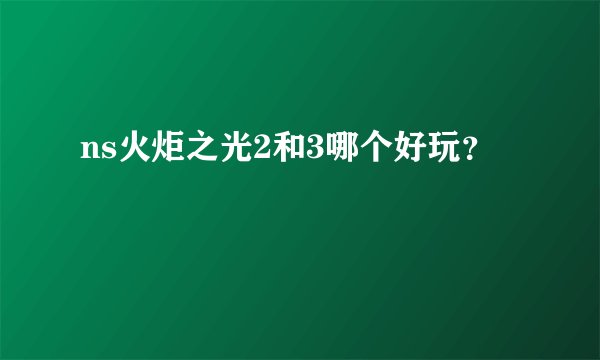 ns火炬之光2和3哪个好玩？