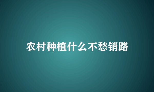 农村种植什么不愁销路