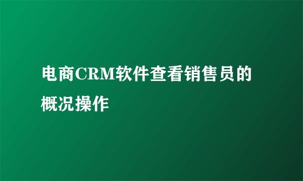 电商CRM软件查看销售员的概况操作