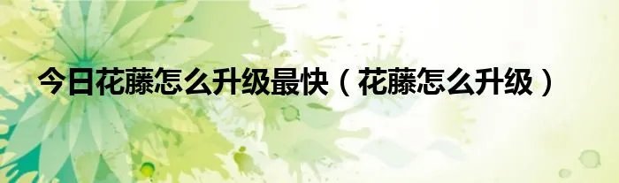 今日花藤怎么升级最快（花藤怎么升级）