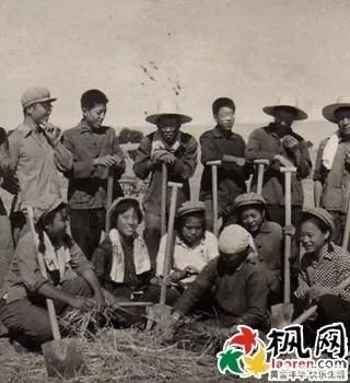 生活中你经历过哪些奇趣的事?