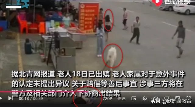 为什么佛山88岁老人被狗绊倒家属不追责?如何去理解这种做法?