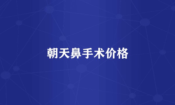 朝天鼻手术价格