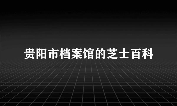贵阳市档案馆的芝士百科