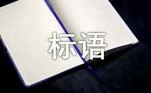 服务宣传标语