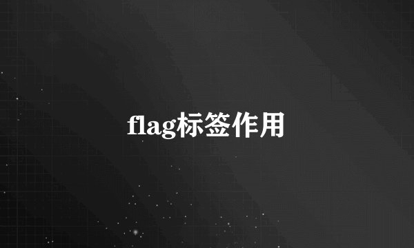 flag标签作用