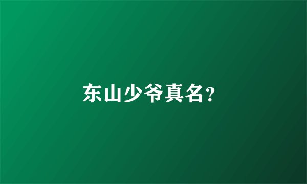 东山少爷真名？