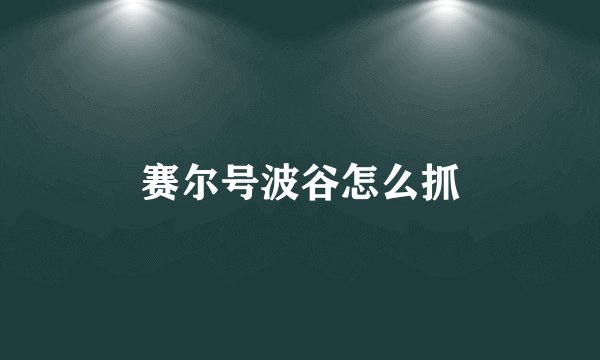 赛尔号波谷怎么抓
