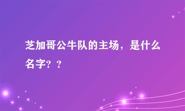 芝加哥公牛队的主场，是什么名字？？