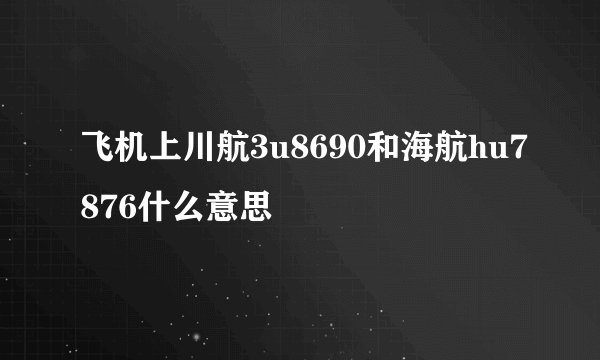 飞机上川航3u8690和海航hu7876什么意思
