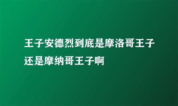 王子安德烈到底是摩洛哥王子还是摩纳哥王子啊