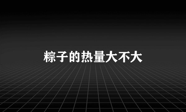 粽子的热量大不大