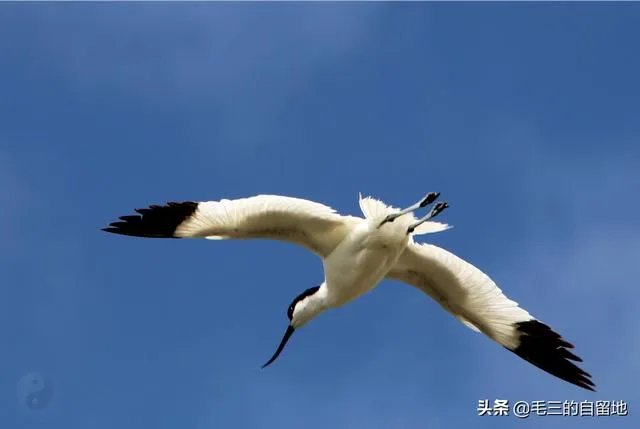 八月初去草原天路穿什么衣服?
