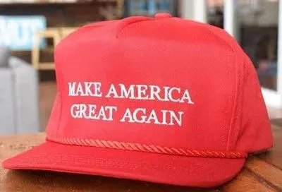 你认为唐纳德·特朗普将在2020年的总统选举中获胜吗？