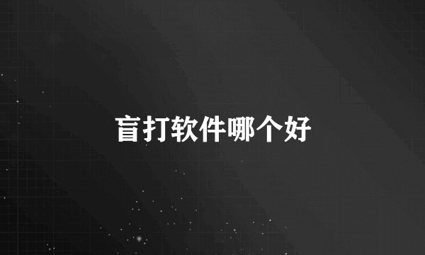 盲打软件哪个好