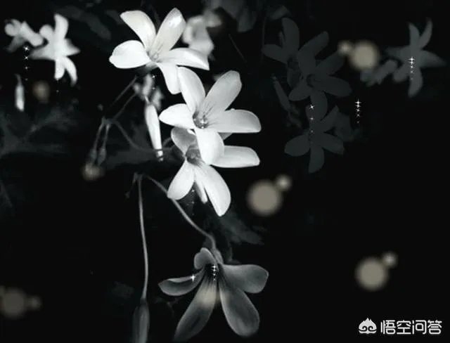 有什么黑暗系的头像?