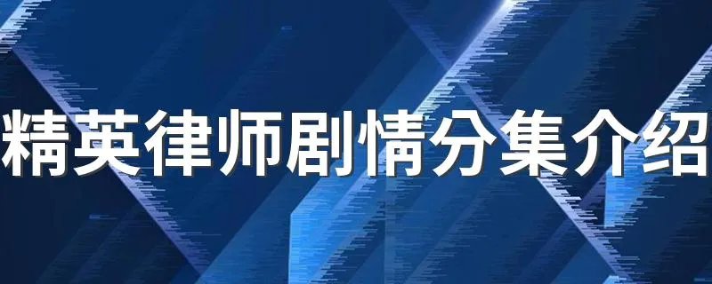精英律师剧情分集介绍 你看过精英律师吗